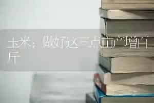 玉米：做好这三点亩产增百斤