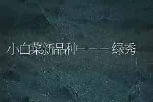 小白菜新品种---绿秀