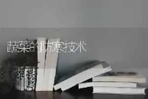 蔬菜的防寒技术