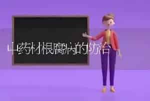 中药材根腐病的防治