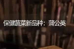 保健蔬菜新品种：蒲公英