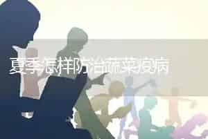 夏季怎样防治蔬菜疫病