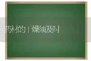药材的干燥须及时