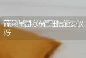 蔬菜保温防冻管理措施要做好