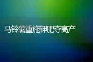 马铃薯重施钾肥夺高产