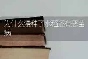 为什么浸种了水稻还有恶苗病