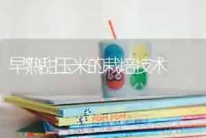 早熟甜玉米的栽培技术
