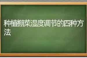 种植棚菜湿度调节的四种方法