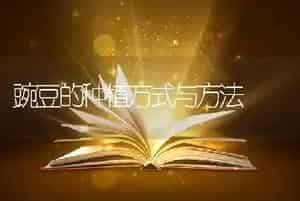 豌豆的种植方式与方法