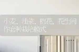 春季小麦浇水要把握好三个时期