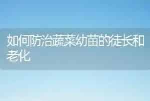 如何防治蔬菜幼苗的徒长和老化