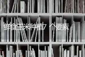 鲜食玉米种植7个要素