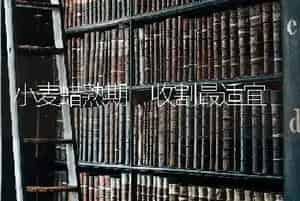小麦蜡熟期 收割最适宜