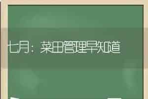 七月：菜田管理早知道