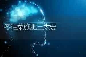 冬油菜施肥三大要
