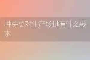 种芽菜对生产场地有什么要求