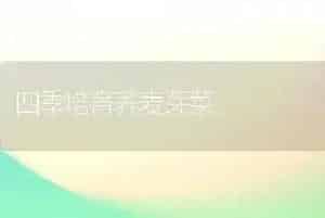 四季培育荞麦芽菜