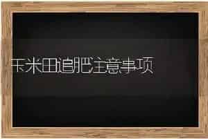 玉米田追肥注意事项