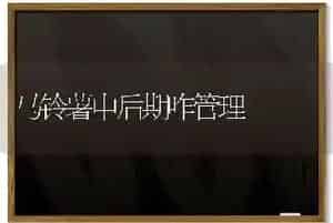 马铃薯中后期咋管理
