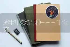 速生叶菜新品种---千宝菜