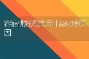 芝麻追肥的时间和方法