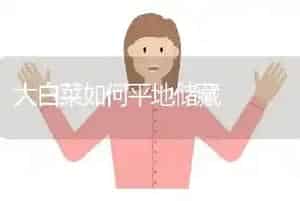 大白菜如何平地储藏