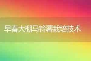 早春大棚马铃薯栽培技术
