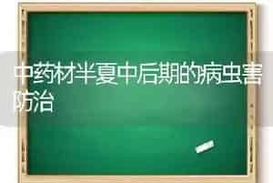 中药材半夏中后期的病虫害防治