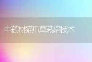 中药材猫爪草栽培技术