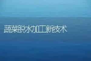 蔬菜脱水加工新技术