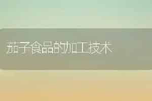 茄子食品的加工技术