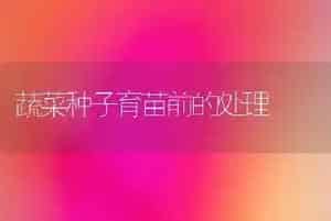 蔬菜种子育苗前的处理