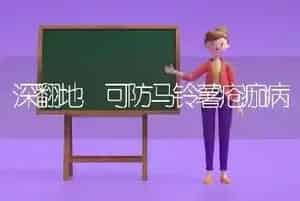 深翻地 可防马铃薯疮痂病