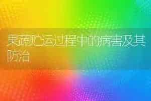 2021年全国冬小麦春季管理技术意见
