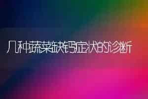 几种蔬菜缺钙症状的诊断