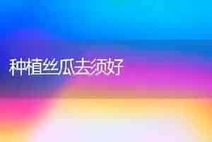 种植丝瓜去须好