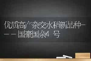 优质高产杂交水稻新品种---国豪国杂4号