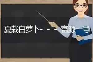 夏栽白萝卜---富源一号