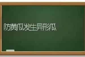 防黄瓜发生异形瓜