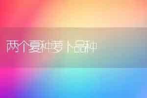 两个夏种萝卜品种