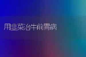 用韭菜治牛前胃病