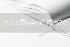 黄瓜主要病害药剂防治效方
