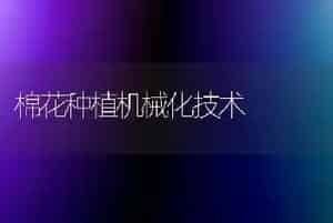 棉花种植机械化技术