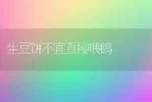 蔓生菜豆优良品种---超长四季豆