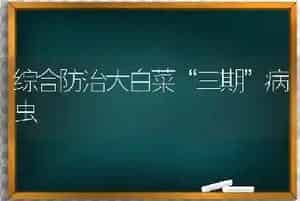 综合防治大白菜“三期”病虫