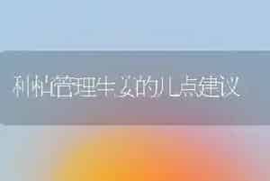 种植管理生姜的几点建议