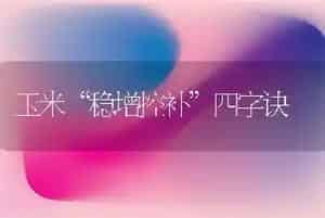 玉米“稳增控补”四字诀