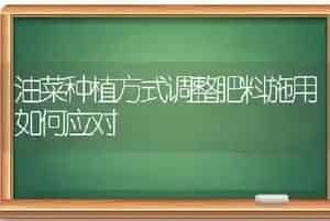 油菜种植方式调整肥料施用如何应对