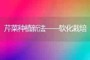 芹菜种植新法——软化栽培