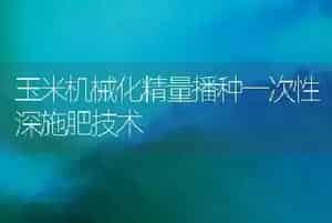 玉米机械化精量播种一次性深施肥技术